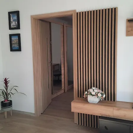 New Apartment Island S 