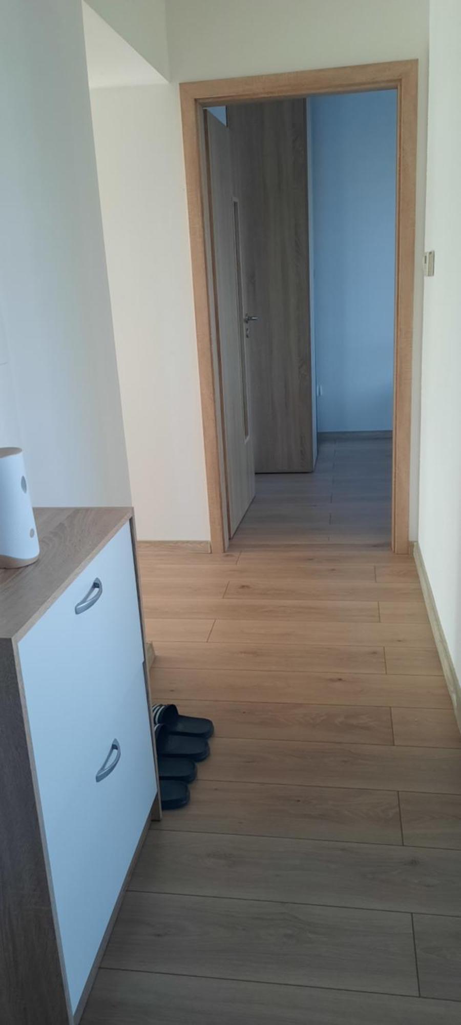 Apartment New Island S 